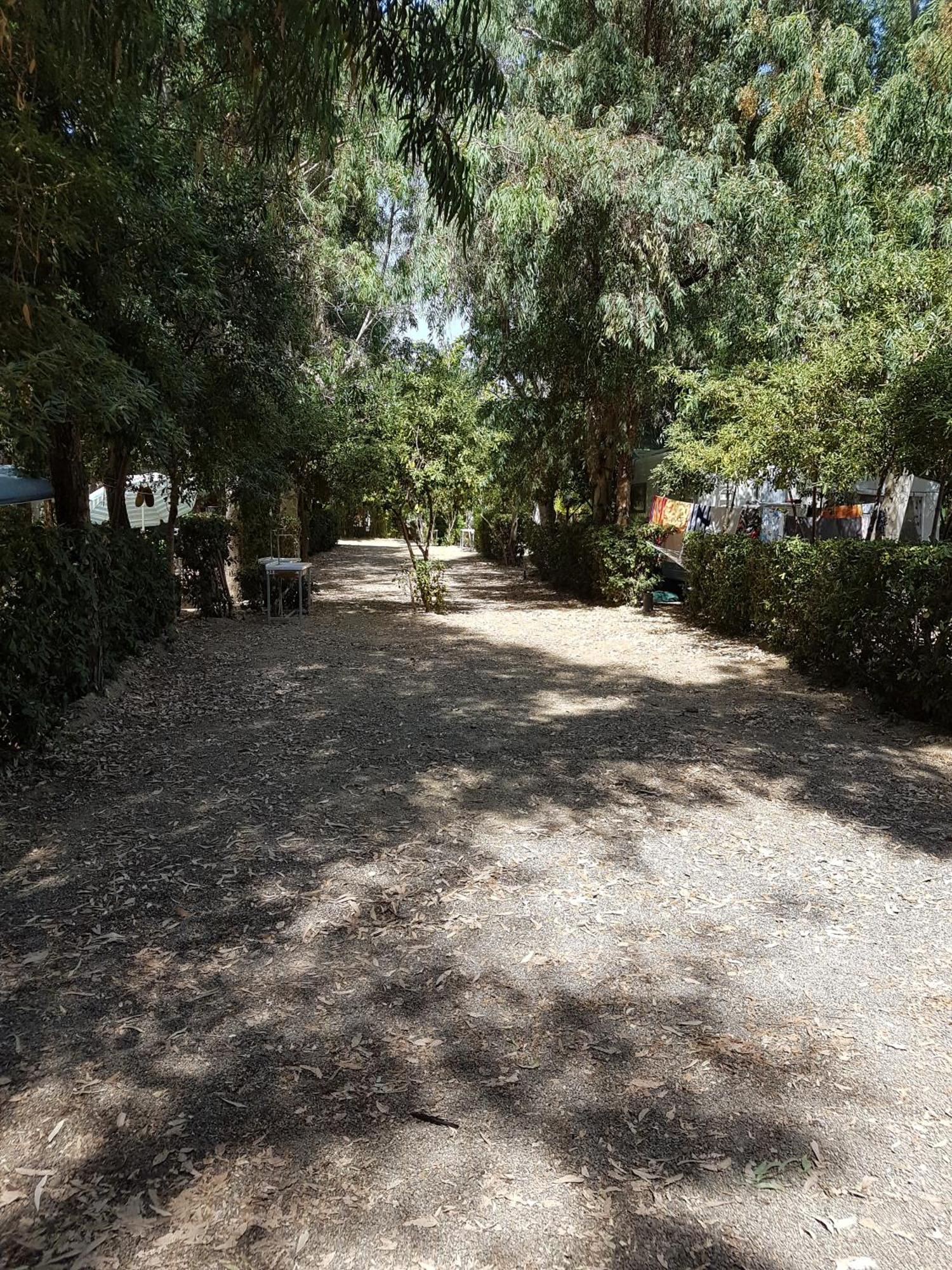 Hotel Oriental Park Rossano Esterno foto